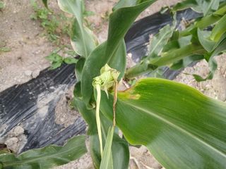 상추14154님의 자유주제 · 자유게시판 작성글 사진