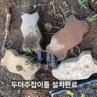 소농인님의 자유주제 · 자유게시판 작성글 사진