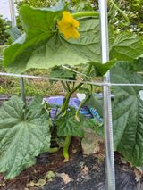 팜모닝 자유주제·자유게시판 게시글 이미지