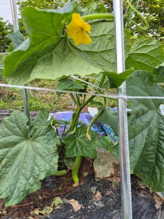 라일락님의 자유주제 · 자유게시판 작성글 사진