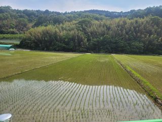 귤9669님의 자유주제 · 자유게시판 작성글 사진