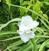 팜모닝 자유주제·자유게시판 게시글 이미지