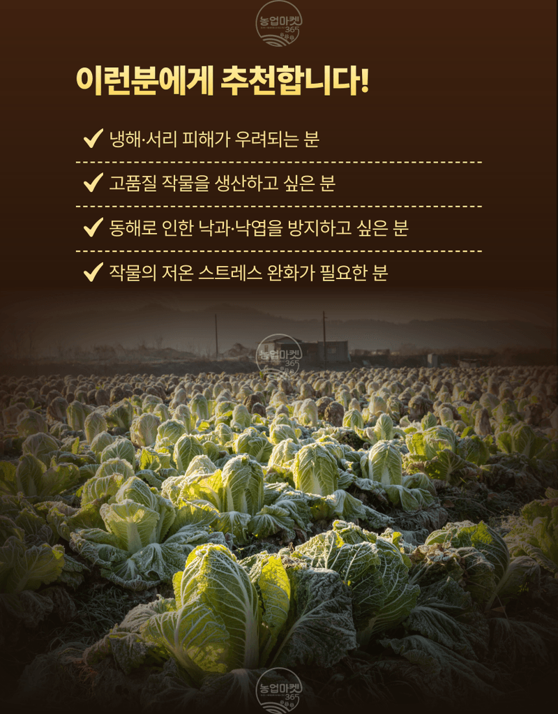 농업마켓365님의 장터 판매 상품 [농업마켓365 융전 유기노냉서리 1L 유기농업자재 친환경자재 냉해 서리 해조추출물 해조서스펜션 아미노산 환경장해] 첨부 사진