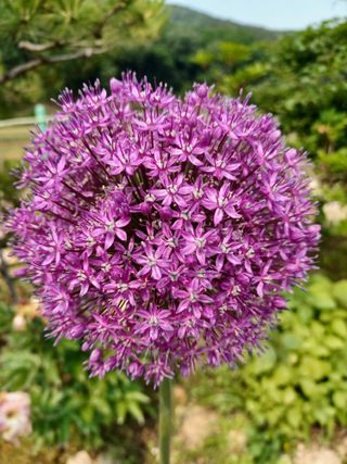 자연을사랑하자님의 자유주제 · 사진전 작성글 사진