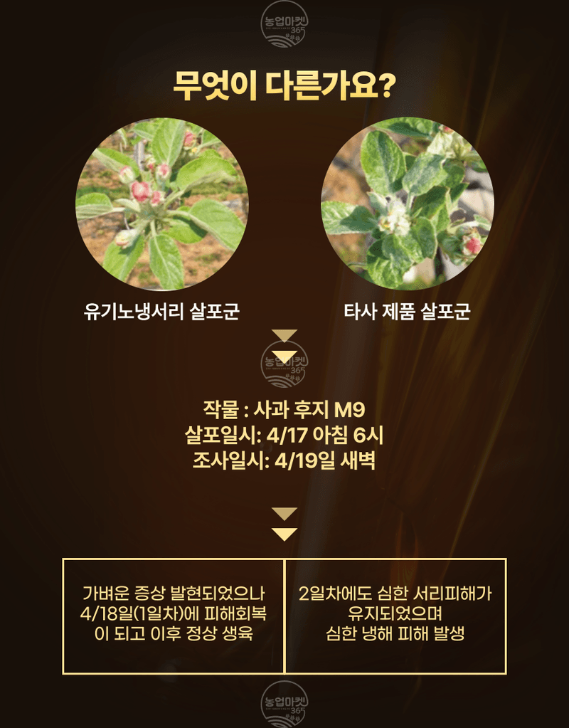 농업마켓365님의 장터 판매 상품 [농업마켓365 융전 유기노냉서리 1L 유기농업자재 친환경자재 냉해 서리 해조추출물 해조서스펜션 아미노산 환경장해] 첨부 사진