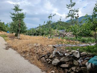 알 수 없음님의 자유주제 · 자유게시판 작성글 사진