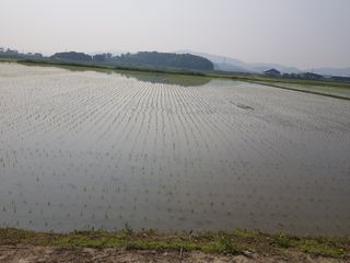 소농님의 자유주제 · 자유게시판 작성글 사진