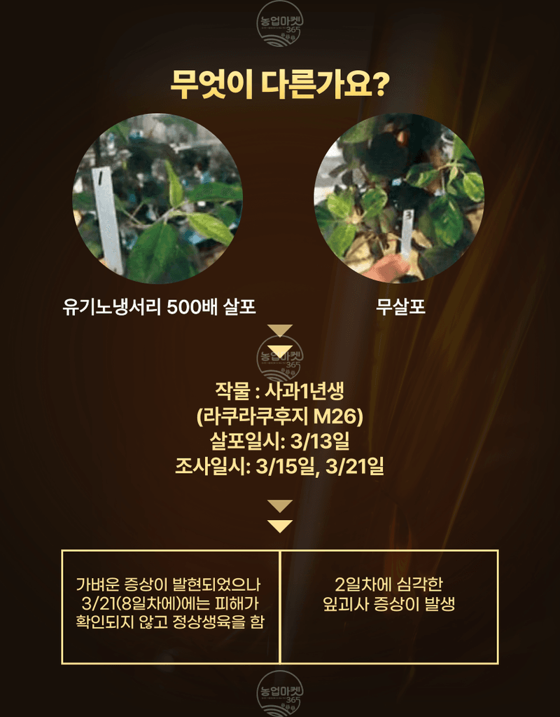 농업마켓365님의 장터 판매 상품 [농업마켓365 융전 유기노냉서리 500ml 유기농업자재 친환경자재 냉해 서리 동해 해조추출물 해조서스펜션 아미노산] 첨부 사진