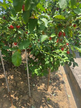 자연인님의 자유주제 · 자유게시판 작성글 사진