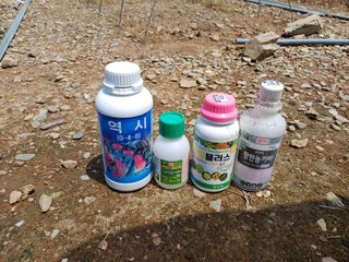 박성민님의 자유주제 · 자유게시판 작성글 사진