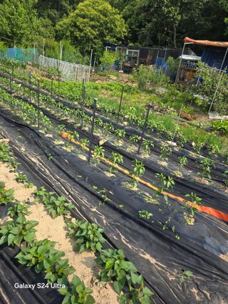 소병찬님의 자유주제 · 자유게시판 작성글 사진