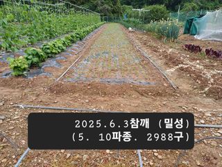 박성민님의 자유주제 · 자유게시판 작성글 사진