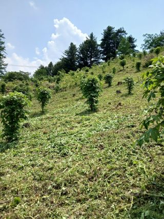 인생은 소풍처럼님의 자유주제 · 자유게시판 작성글 사진