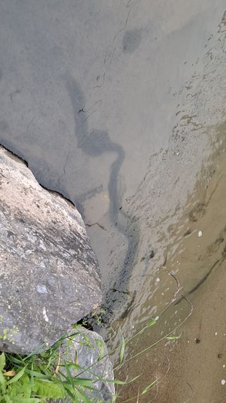 MSG0074님의 자유주제 · 자유게시판 작성글 사진