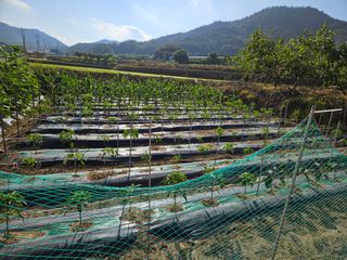 백호순(후추)님의 자유주제 · 자유게시판 작성글 사진