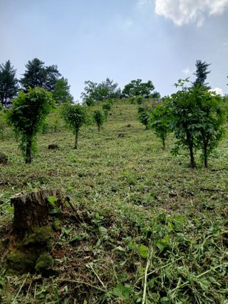 인생은 소풍처럼님의 자유주제 · 자유게시판 작성글 사진