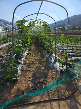 백호순(후추)님의 자유주제 · 자유게시판 작성글 사진