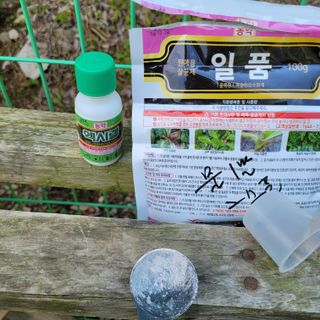 이창화님의 자유주제 · 자유게시판 작성글 사진