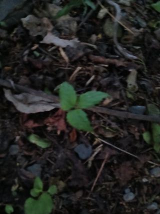 인생은 소풍처럼님의 자유주제 · 자유게시판 작성글 사진