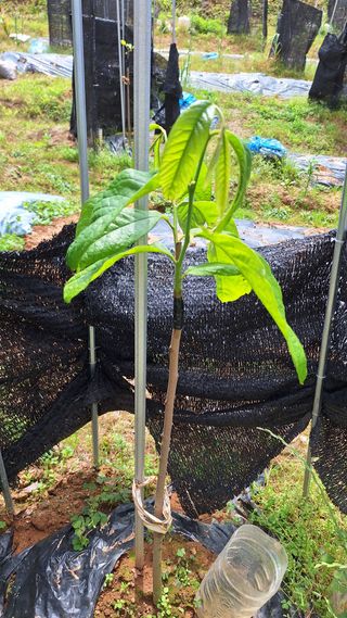 김하동 님의 자유주제 · 자유게시판 작성글 사진