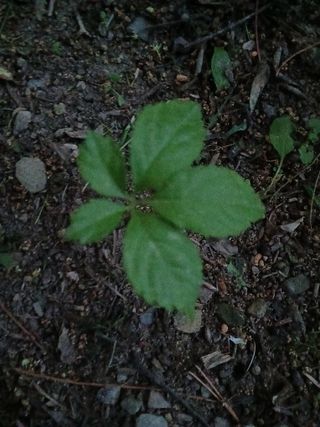 인생은 소풍처럼님의 자유주제 · 자유게시판 작성글 사진