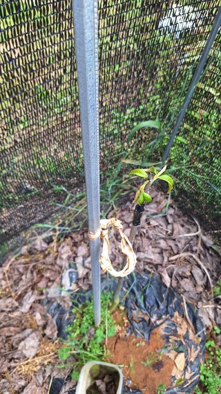 김하동 님의 자유주제 · 자유게시판 작성글 사진