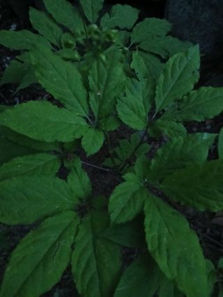 인생은 소풍처럼님의 자유주제 · 자유게시판 작성글 사진