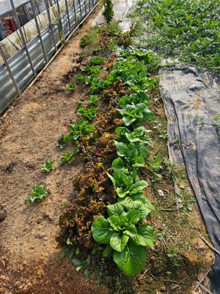 백호순(후추)님의 자유주제 · 자유게시판 작성글 사진