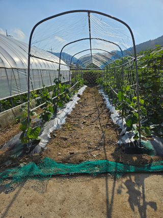 백호순(후추)님의 자유주제 · 자유게시판 작성글 사진