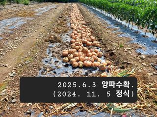 박성민님의 자유주제 · 자유게시판 작성글 사진