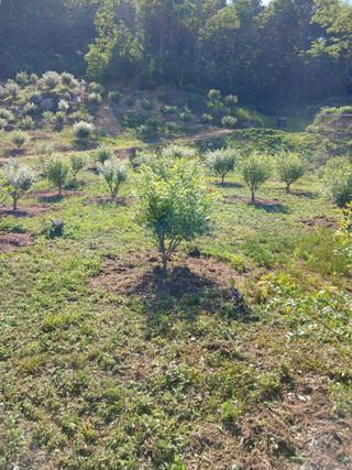 금여사님의 자유주제 · 자유게시판 작성글 사진