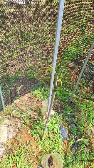 김하동 님의 자유주제 · 자유게시판 작성글 사진