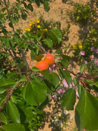 자연인님의 자유주제 · 자유게시판 작성글 사진