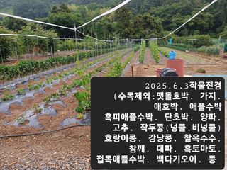 박성민님의 자유주제 · 자유게시판 작성글 사진