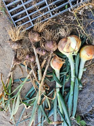 장호덕님의 자유주제 · 자유게시판 작성글 사진