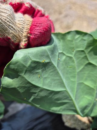 동산계곡님의 자유주제 · 자유게시판 작성글 사진