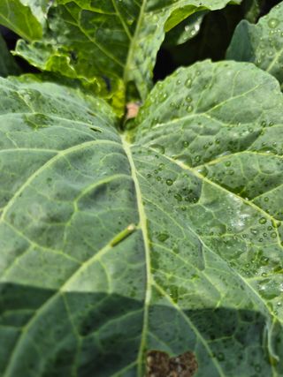 동산계곡님의 자유주제 · 자유게시판 작성글 사진