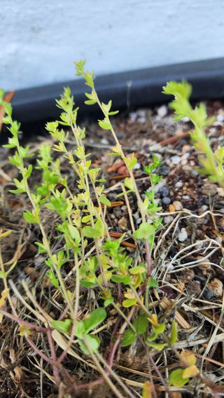 문병숙님의 자유주제 · 자유게시판 작성글 사진