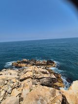 팜모닝 자유주제·자유게시판 게시글 이미지