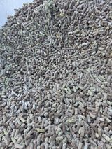 팜모닝 자유주제·자유게시판 게시글 이미지