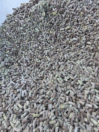 무화과농장님의 자유주제 · 자유게시판 작성글 사진