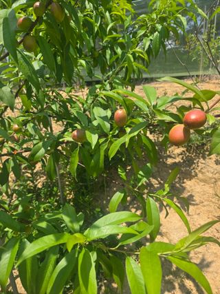 자연인님의 자유주제 · 자유게시판 작성글 사진