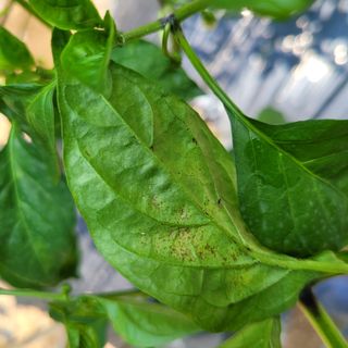 이창화님의 자유주제 · 자유게시판 작성글 사진