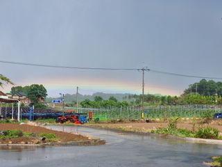 권병☆님의 자유주제 · 자유게시판 작성글 사진