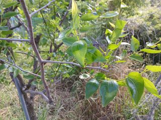 상추14154님의 자유주제 · 자유게시판 작성글 사진