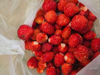 김용석님의 자유주제 · 자유게시판 작성글 사진