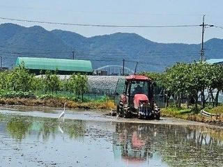 MSG0074님의 자유주제 · 자유게시판 작성글 사진