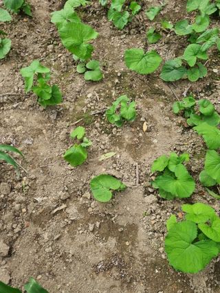 김용대님의 자유주제 · 자유게시판 작성글 사진