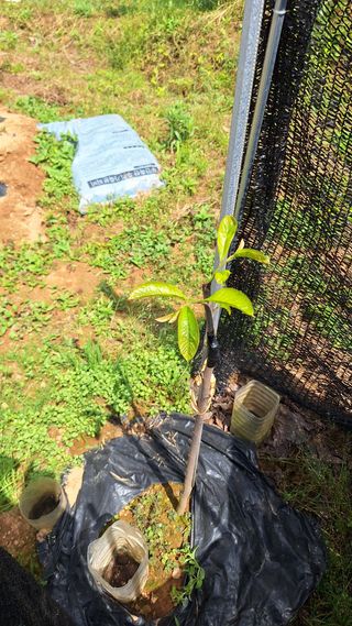 김하동 님의 자유주제 · 자유게시판 작성글 사진