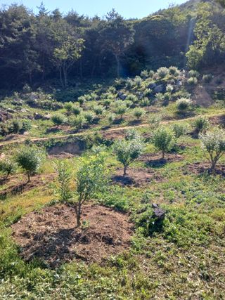 금여사님의 자유주제 · 자유게시판 작성글 사진